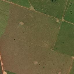 Denise map(satellite map)