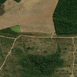 Nova Brasilândia map(satellite map)