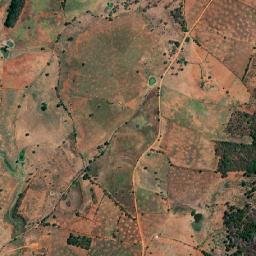 Mamonas map(satellite map)
