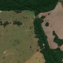 Matrinchã map(satellite map)
