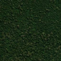 Urubichá map(satellite map)