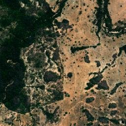 Faina map(satellite map)