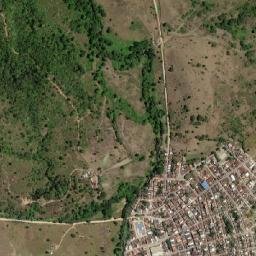 Pau Brasil map(satellite map)