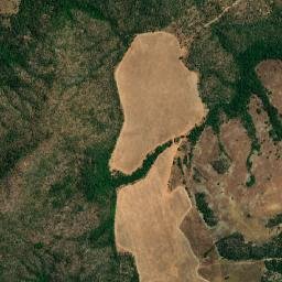 Cocalzinho de Goiás map(satellite map)