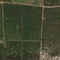 Arinos map(satellite map)