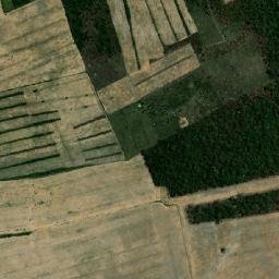 Guarayos map(satellite map)