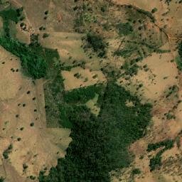Taquaral de Goiás map(satellite map)