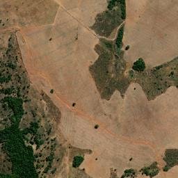 Diorama map(satellite map)