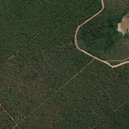 Padre Carvalho map(satellite map)