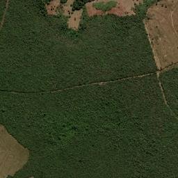 Medina map(satellite map)
