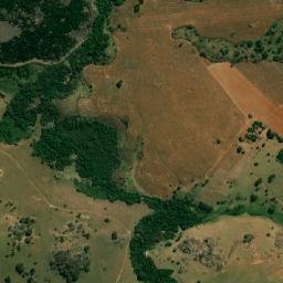 Anicuns map(satellite map)