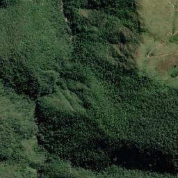 Provincia Sud Yungas map(satellite map)