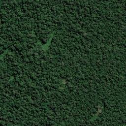 Provincia Chaparé map(satellite map)