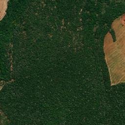 Ivolândia map(satellite map)