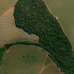 Palestina de Goiás map(satellite map)