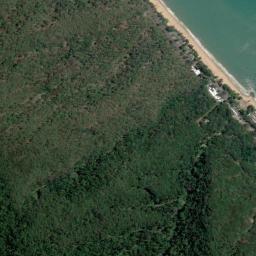 Satellite view of Ellis Beach Surf Life Saving Club