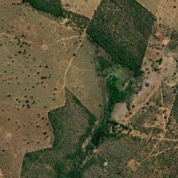 Dom Bosco map(satellite map)