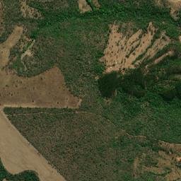São Miguel do Passa Quatro map(satellite map)