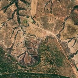 Lagoa dos Patos map(satellite map)