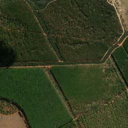 Guaraciama map(satellite map)