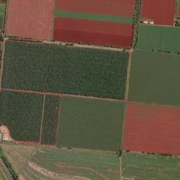 Tolga map(satellite map)