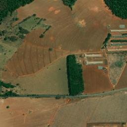 Palmelo map(satellite map)
