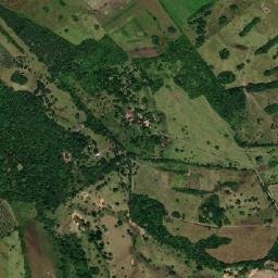 San Carlos map(satellite map)