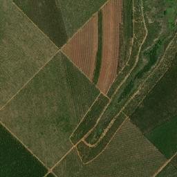 Francisco Dumont map(satellite map)
