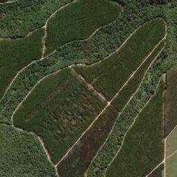 Alcobaça map(satellite map)