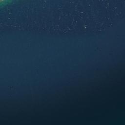 Reef Monitoring