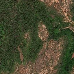 Joaquim Felício map(satellite map)