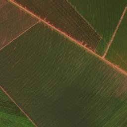 Sonora map(satellite map)