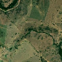 Carlos Chagas map(satellite map)