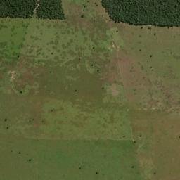 Pedro Gomes map(satellite map)