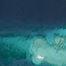 Reef Monitoring