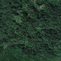 Tailevu Province map(satellite map)