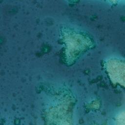 Reef Monitoring