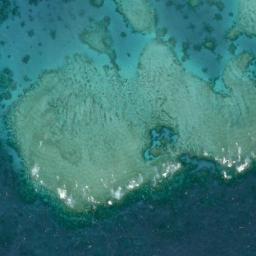 Reef Monitoring