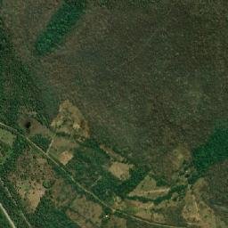 San Pedro map(satellite map)