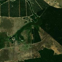Pinheiros map(satellite map)
