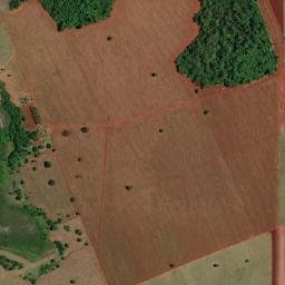 Araporã map(satellite map)