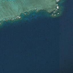 Reef Monitoring