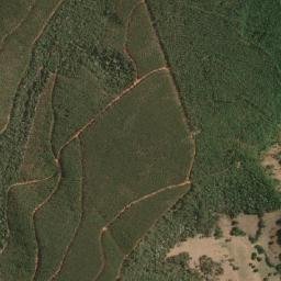 Divinolândia de Minas map(satellite map)