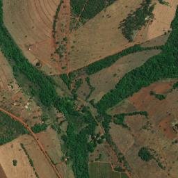Monte Alegre de Minas map(satellite map)