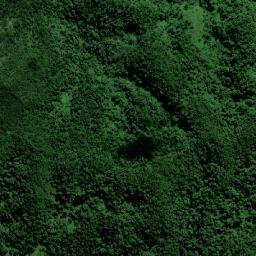 Kadavu Province map(satellite map)