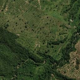 São Gabriel do Oeste map(satellite map)
