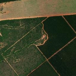 Martinho Campos map(satellite map)