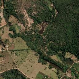 Pequi map(satellite map)