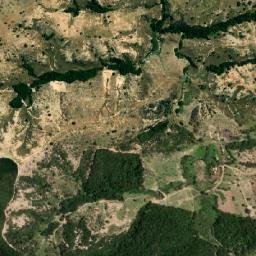 Leandro Ferreira map(satellite map)