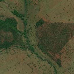 Carneirinho map(satellite map)